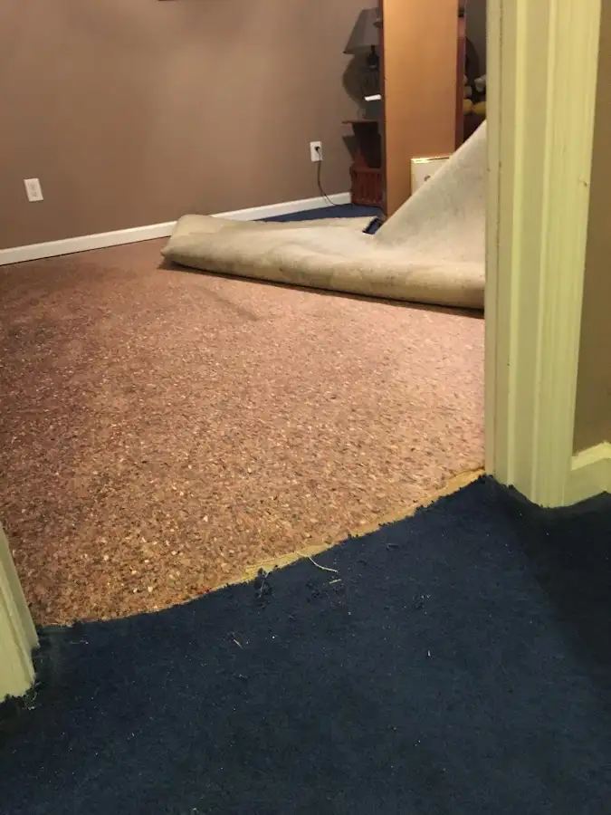 Carpet pad removal revealing water damage during Drying & Dehumidification in South Orange Village