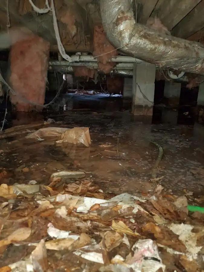 Crawl space flood assessment for Leak Detection & Repair in South Orange Village