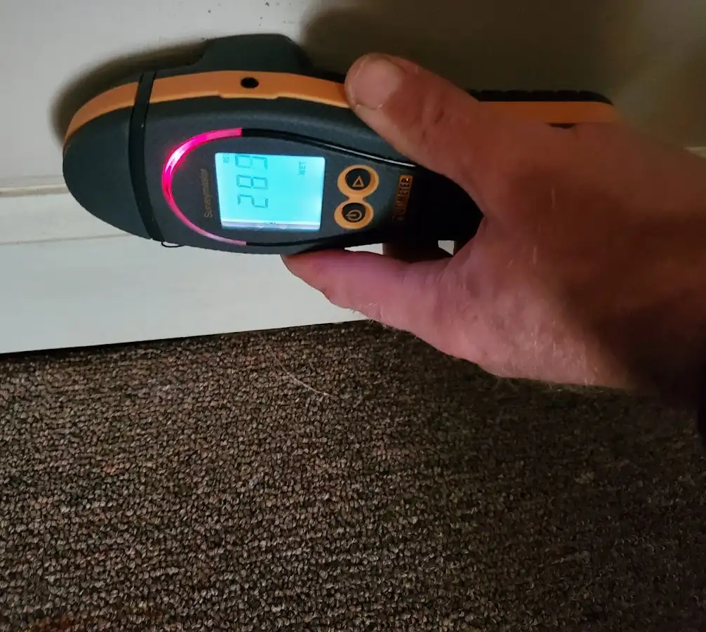 Moisture detection at baseboard during Sewage Cleanup & Sanitation in South Orange Village